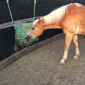 slowfeeder paard