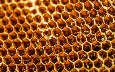Erkenning van wondherstel door honing