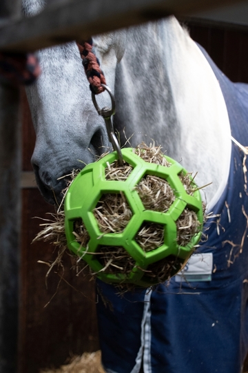 Slow feeder bal 20cm uren plezier - Paard en Voeding