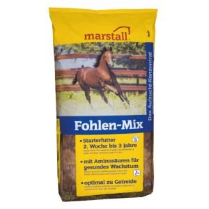 Marstall Veulen-Mix / Fohlen mix