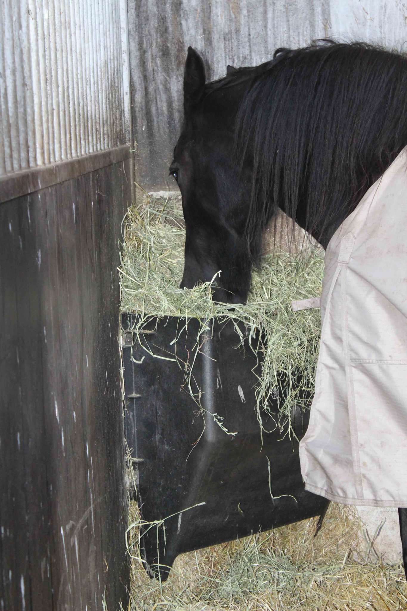 Hooi Feeder 200 l (vervanger voor Hay Bar) - Paard en Voeding