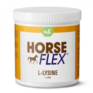 Horseflex L-Lysine 250-500-1000 Gram
