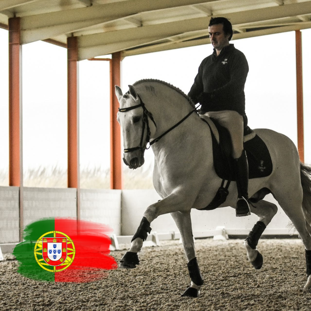 Pedro Teixeira Farto bij Paard & Vitaliteit