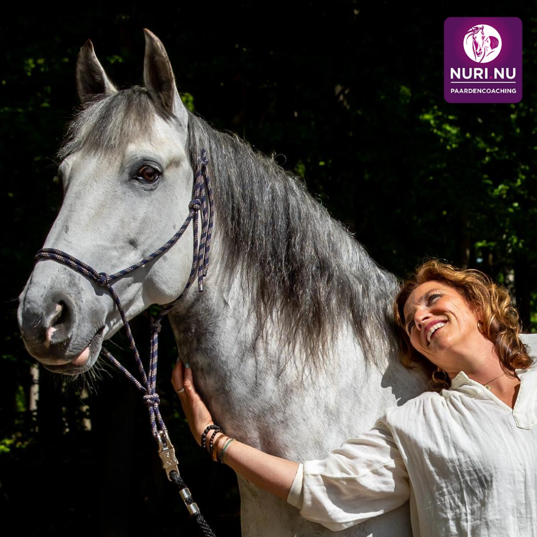 Een inspirerende dag met Katinka Manders | Systemisch paardencoaching