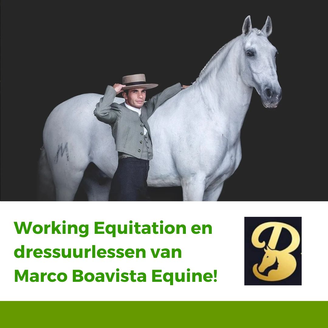 Marco Boavista komt naar Paard & Vitaliteit | Working Equitation & Dressuur lessen