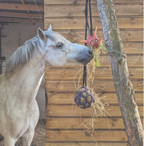 Paardenspeelgoed