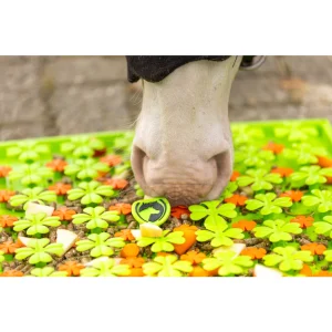 Excellent | paarden snuffel mat | 50x50cm - Image 2