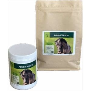 Equifyt | Amino Muscle | 400gram - 5kg