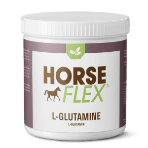 Horseflex | L-Glutamine | 500gram - 1kg