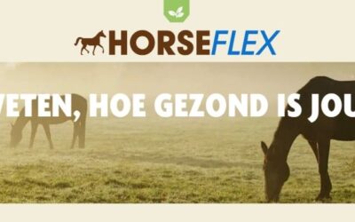 Horseflex & Paard&Voeding | Meten = Weten, hoe gezond is jouw paard?